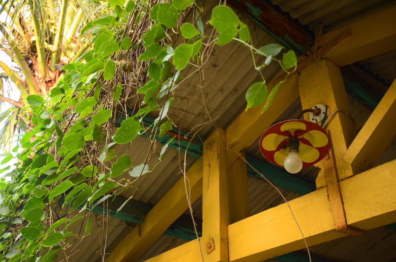 Sky Gift Traditional Farm B&B Dongshi  Buitenkant foto