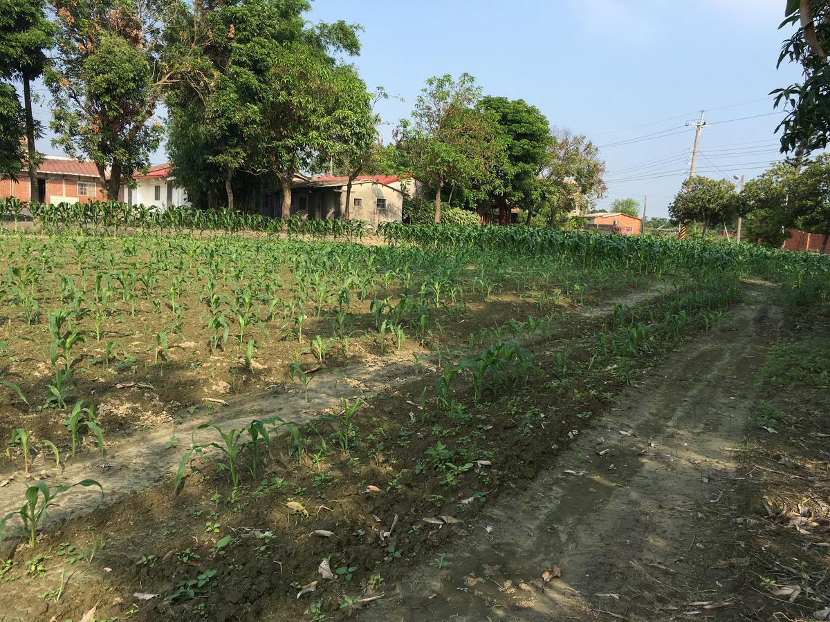 Sky Gift Traditional Farm B&B Dongshi  Buitenkant foto
