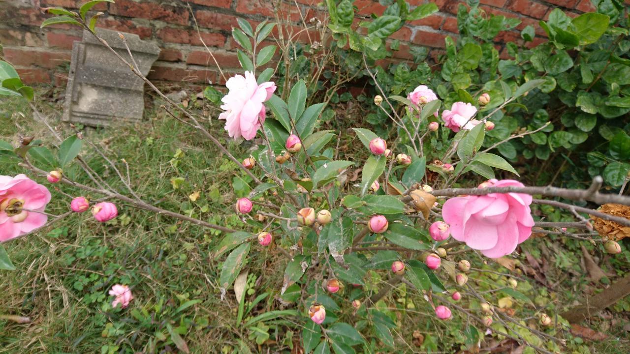 Sky Gift Traditional Farm B&B Dongshi  Buitenkant foto